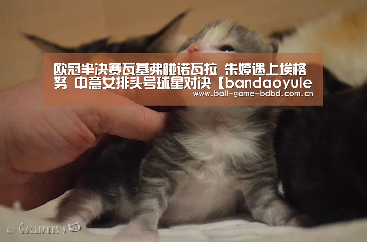半岛娱乐官网